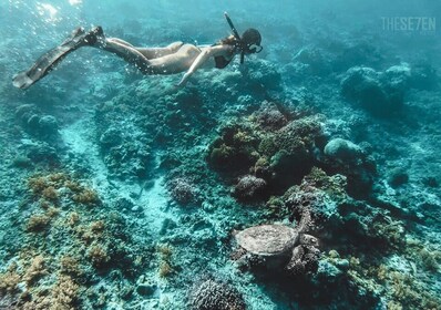 Fra Bali: 2-dages privat Gili Island snorkeltur med hotel