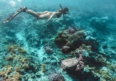 Vanaf Bali: 2-daagse privé snorkeltour op Gili Island met hotel