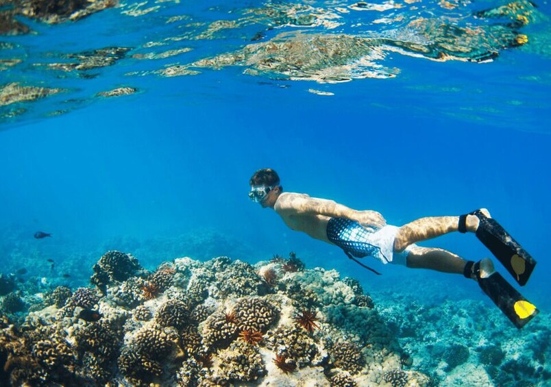 From Bali: 2-Day Private Gili Island Snorkel Tour with Hotel