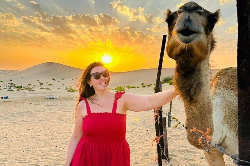 Abu Dhabi: Evening Desert Safari with Camel Ride, BBQ & Live Show