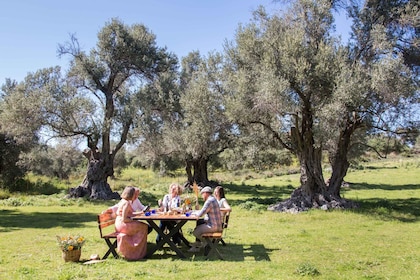 Rethymno: Olive Oil Tasting with Cretan Food Pairing
