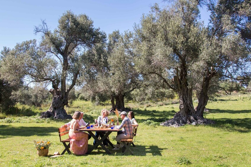 Rethymno: Olive Oil Tasting with Cretan Food Pairing