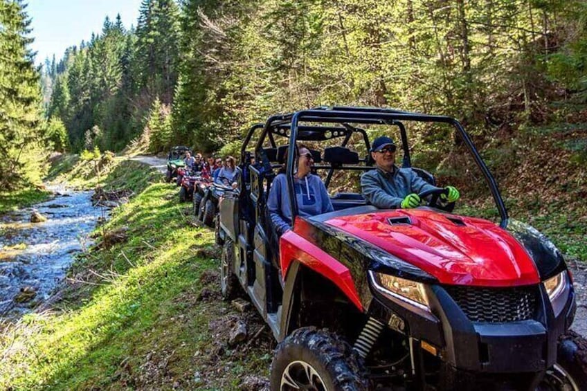 El Yunque Rainforest UTV Ride and Adventure for 1 to 4 PERSON 