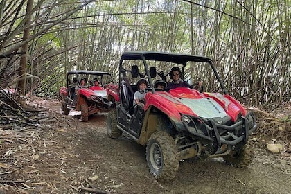 Puerto Rico El Yunque Rainforest UTV for 2 to 4 PERSON