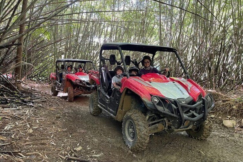 El Yunque Rainforest UTV Ride and Adventure for 1 to 4 PERSON 