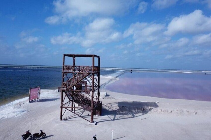 Full day tour to Rio Lagartos and Las Coloradas from Riviera Maya
