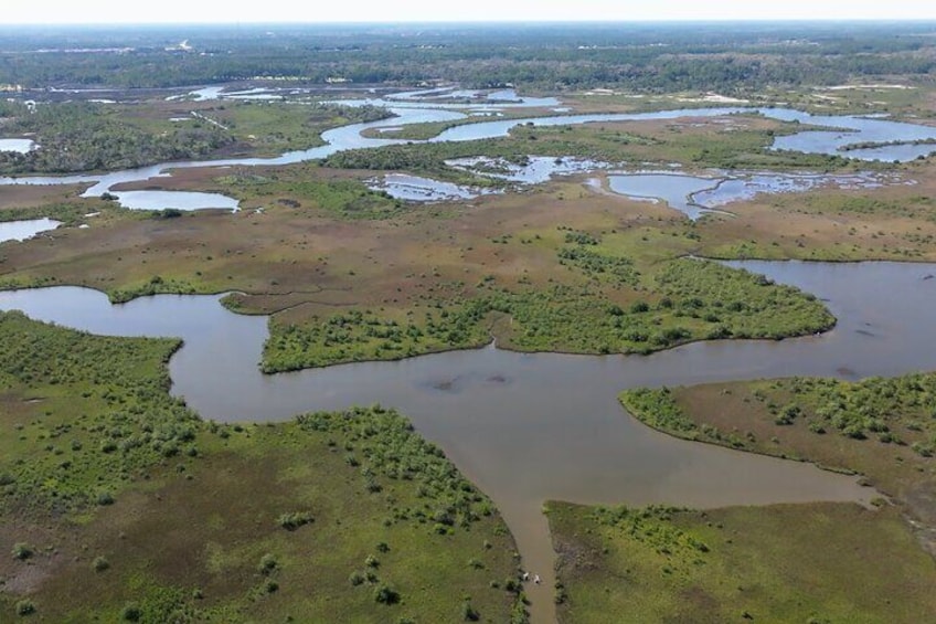 2-Hour Glass Bottom Guided Eco Tour in Flagler County-Small-group