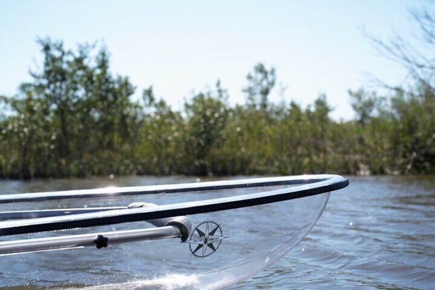 2-Hour Glass Bottom Guided Eco Tour in Flagler County-Small-group