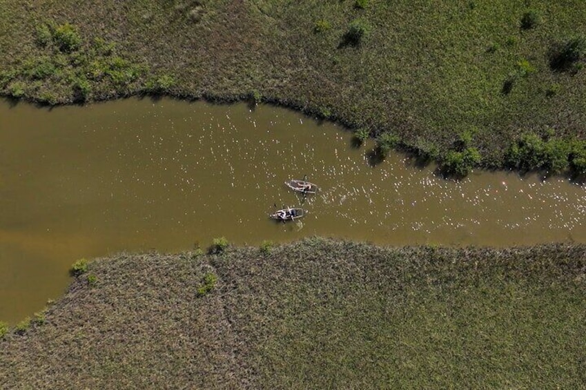 2-Hour Glass Bottom Guided Eco Tour in Flagler County-Small-group