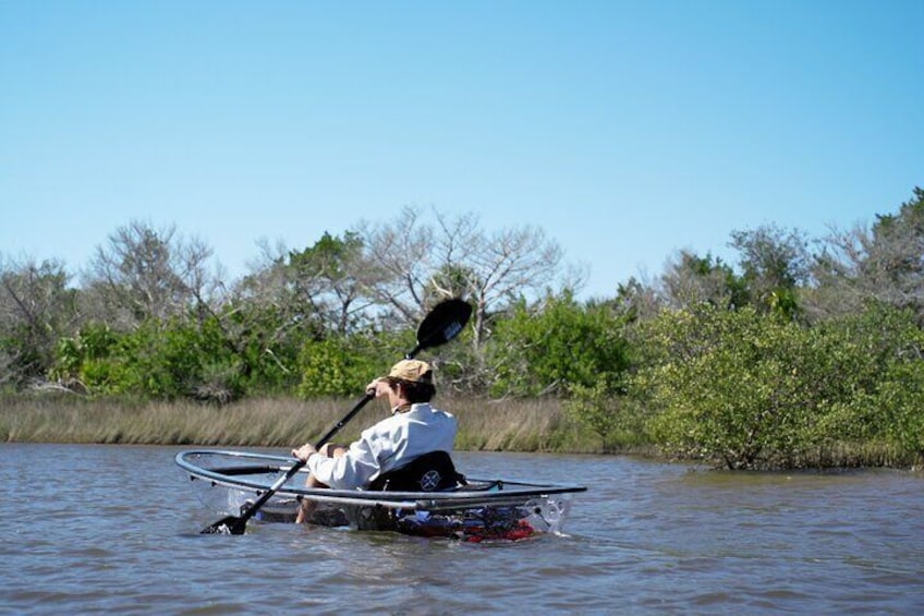 2-Hour Glass Bottom Guided Eco Tour in Flagler County-Small-group