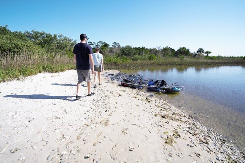 2-Hour Glass Bottom Guided Eco Tour in Flagler County-Small-group