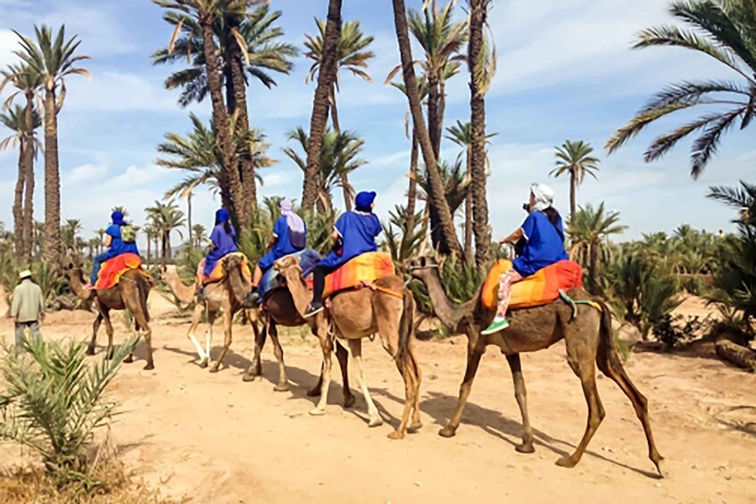 Picture 2 for Activity Marrakech: Camel Ride in the Oasis Palmeraie