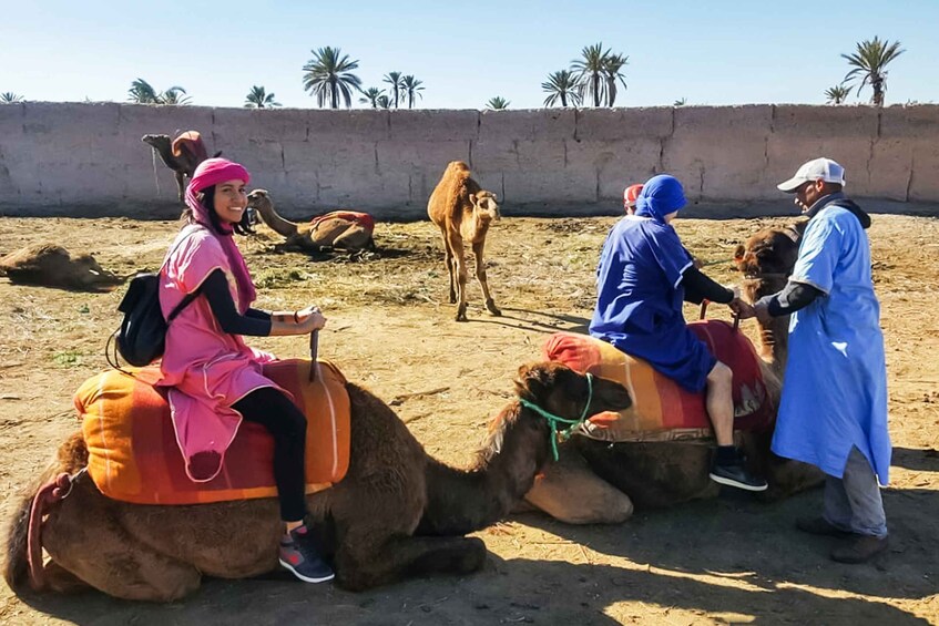 Picture 5 for Activity Marrakech: Camel Ride in the Oasis Palmeraie