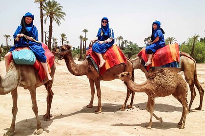 Marrakech: paseo en camello en el Oasis Palmeraie