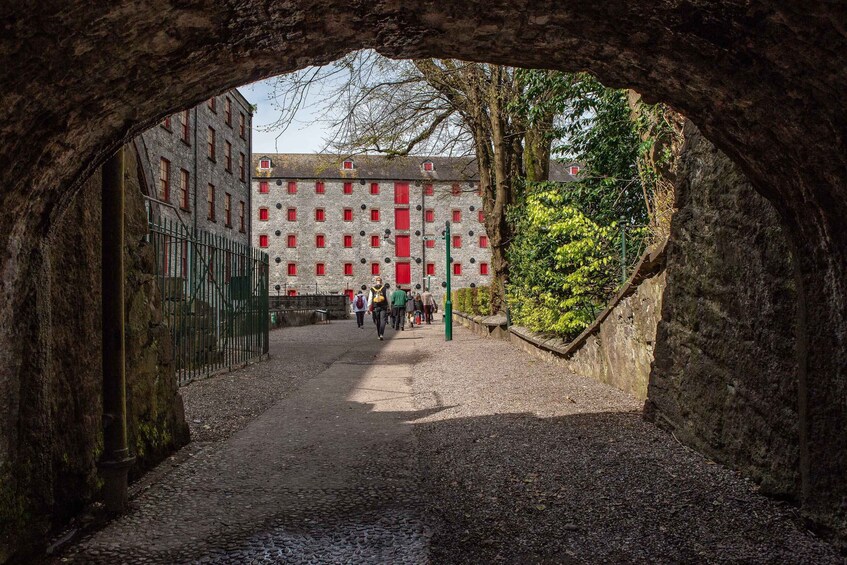 Picture 5 for Activity Cork: Jameson Irish Whiskey & Midleton Distillery Experience