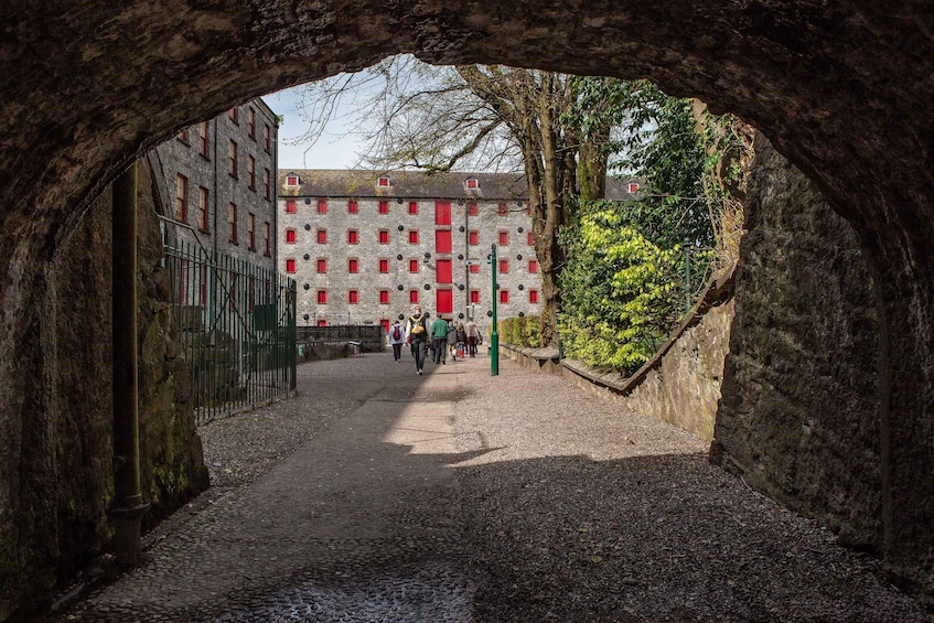 Picture 5 for Activity Cork: Jameson Irish Whiskey & Midleton Distillery Experience