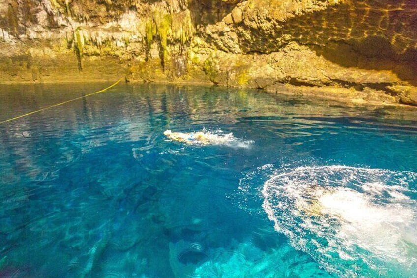 Half a Day Tour to Coba Ruins with Cenote and Mayan Village