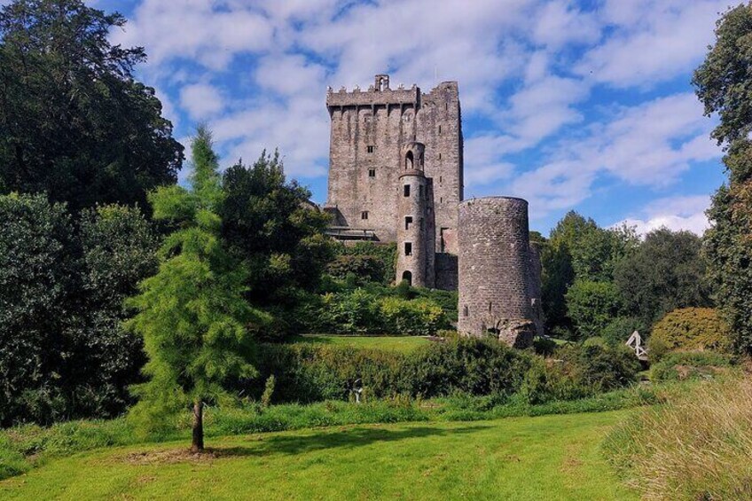 Private Blarney Castle Day Tour from Dublin 