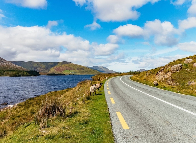 Picture 6 for Activity From Galway: Connemara and Cong Full-Day Tour