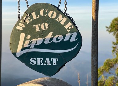From Ella: Lipton Seat & Dambatenne Tea Factory Day Tour