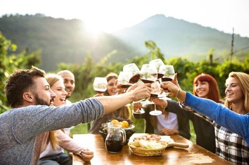 Napa Valley Winery Open Air Tour