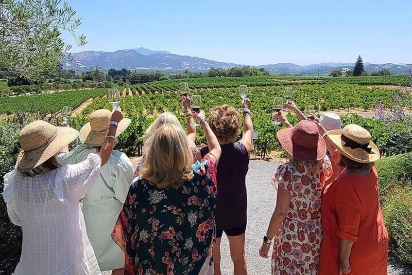 Napa Valley Winery Open Air Tour