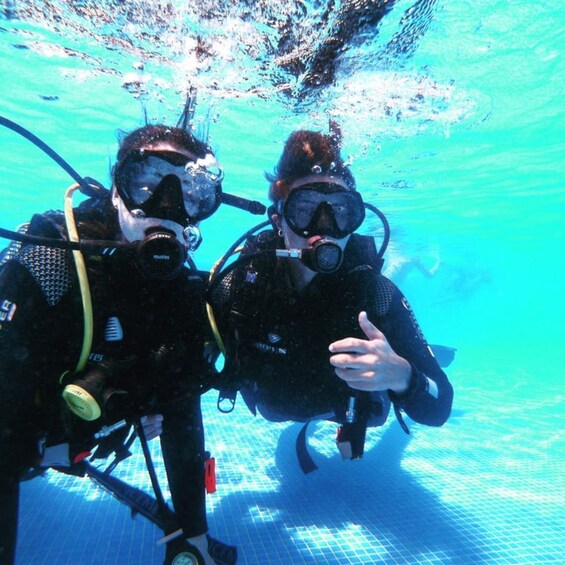 Picture 12 for Activity Funchal: Scuba Diving Experience for Beginners