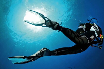 Funchal: Experiencia de buceo para principiantes