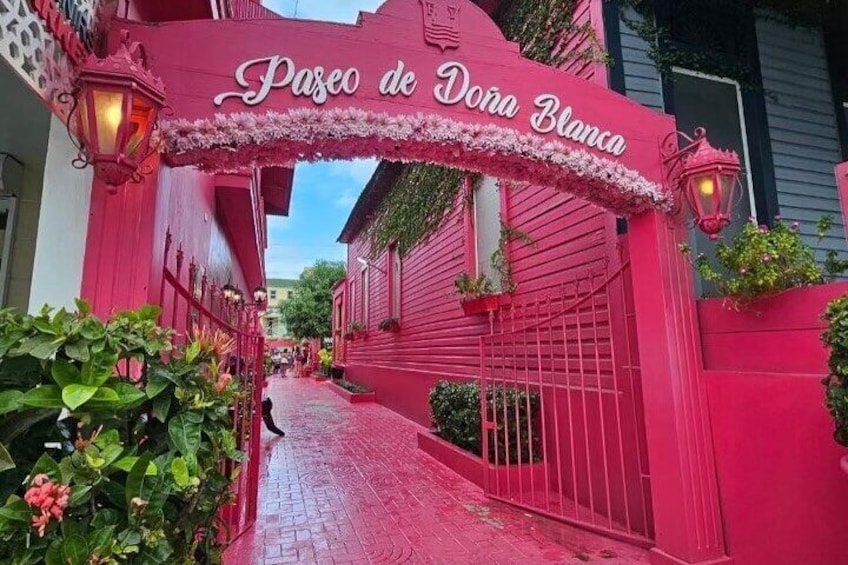 Puerto plata countryside with lunch amber cove and Taino bay
