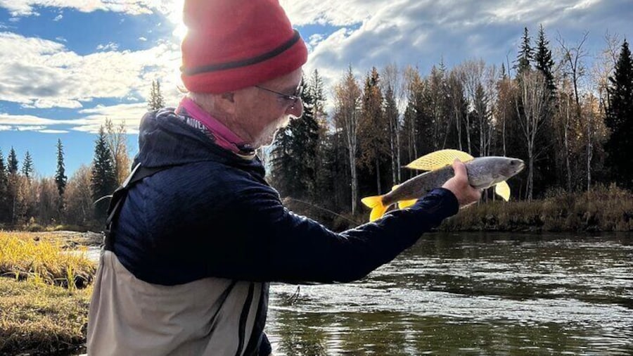 Arctic Grayling, “sailfish of the north”