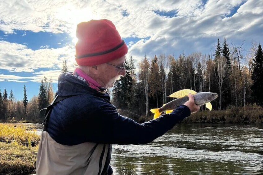 Arctic Grayling, “sailfish of the north”