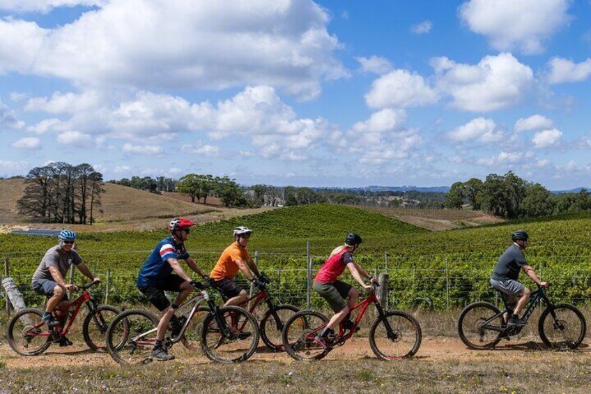 Self Guided Ebike Winery Tour in the Adelaide Hills