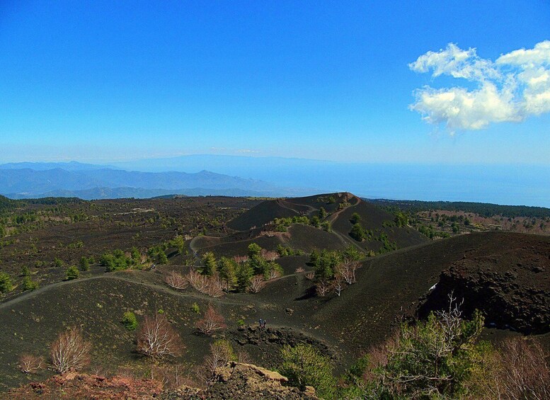 Picture 4 for Activity Taormina and Catania: Private Etna Exploration and Cave Tour