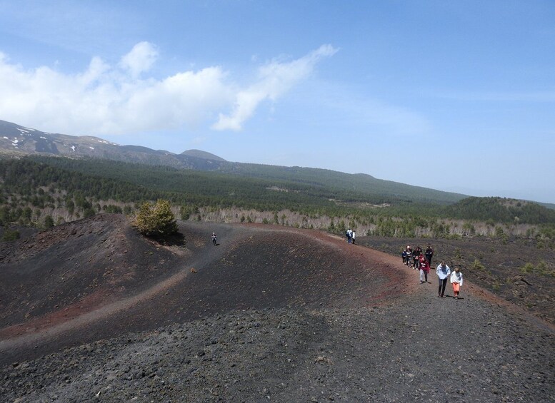 Picture 10 for Activity Taormina and Catania: Private Etna Exploration and Cave Tour