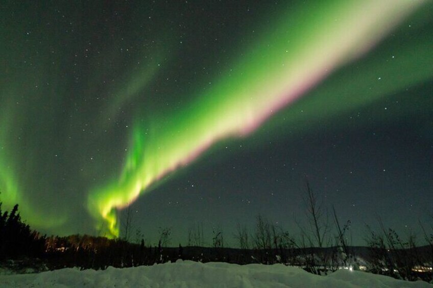 Aurora Borealis tour with Free Photography