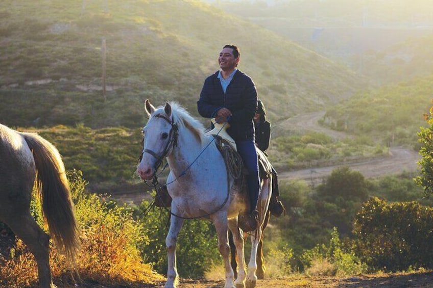 Horseback Riding Experience in Las Cañadas Campamento