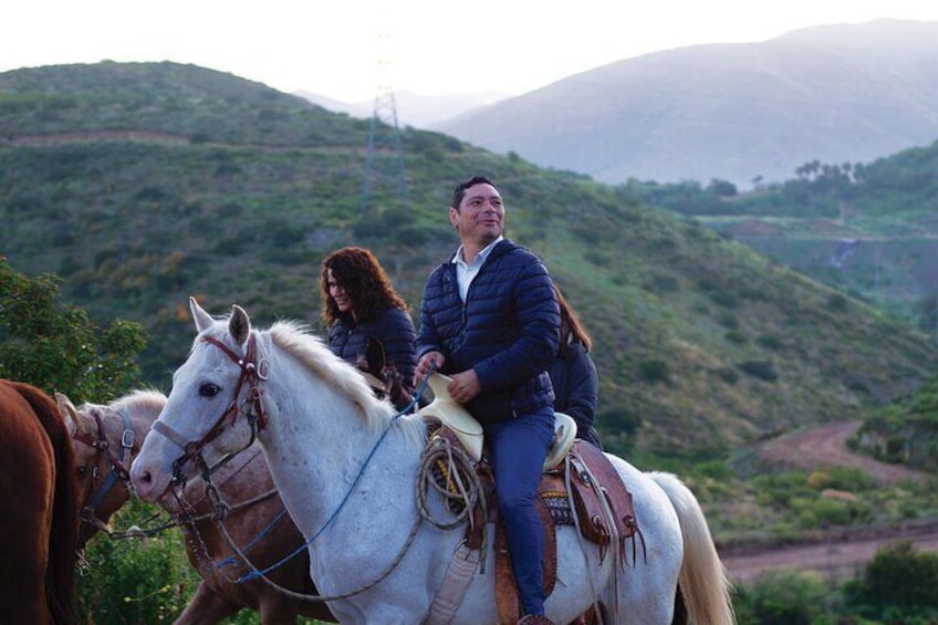Horseback Riding Experience in Las Cañadas Campamento