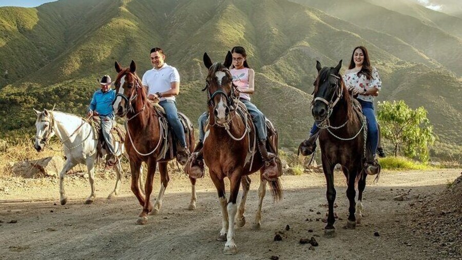 Las Cañadas Campamento Horseback Riding Experience