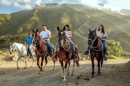 Las Cañadas Campamento 騎馬體驗