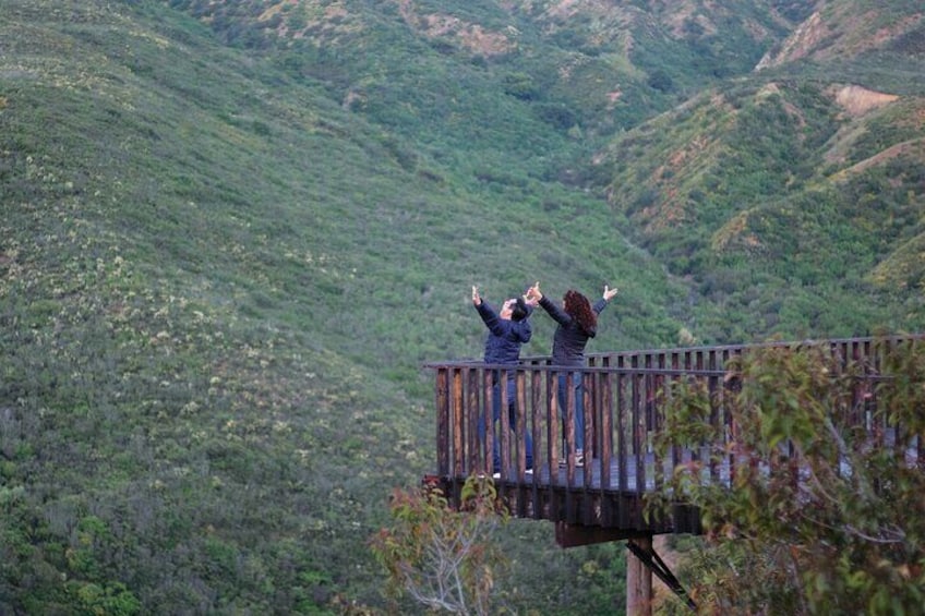 Horseback Riding Experience in Las Cañadas Campamento