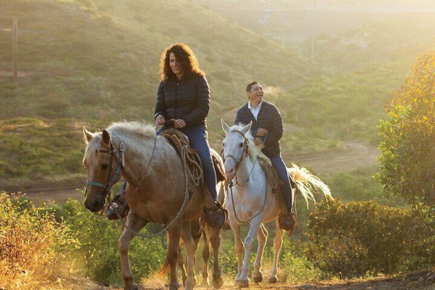 Horseback Riding Experience in Las Cañadas Campamento