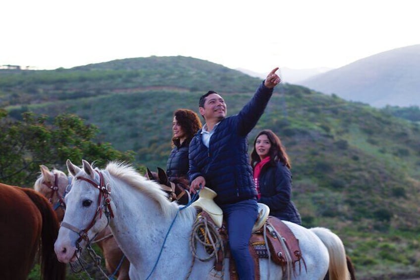 Horseback Riding Experience in Las Cañadas Campamento