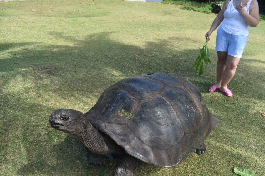 Picture 24 for Activity Praslin: Curieuse and St. Pierre Island Excursion