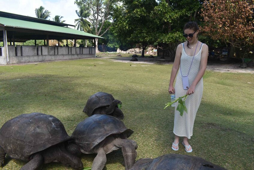 Picture 23 for Activity Praslin: Curieuse & St. Pierre Cruise with BBQ & Snorkeling