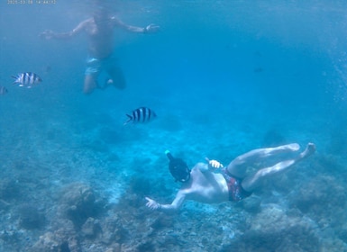 Praslin : Curieuse et St. Pierre Bateau Excursion d’une journée avec BBQ