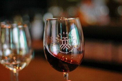 Private Vineyard and Wine Testing Tour From Guanajuato