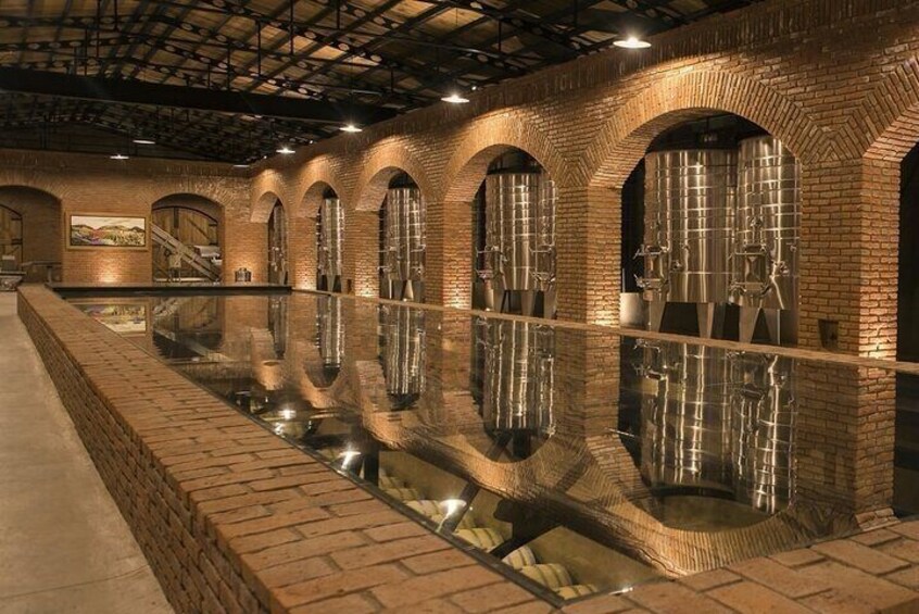 Private Vineyard and Wine Testing Tour From Guanajuato