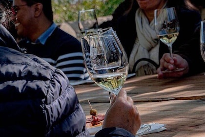 Private Vineyard and Wine Testing Tour From Guanajuato