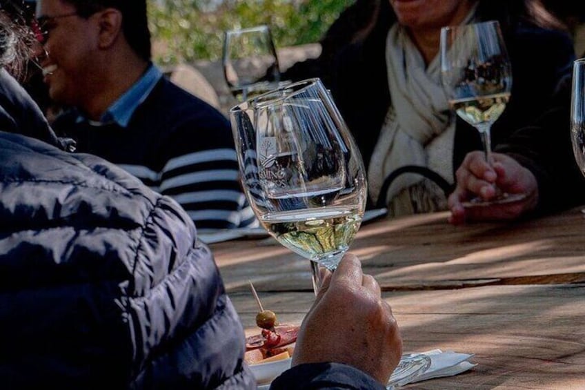 Private Vineyard and Wine Testing Tour From Guanajuato