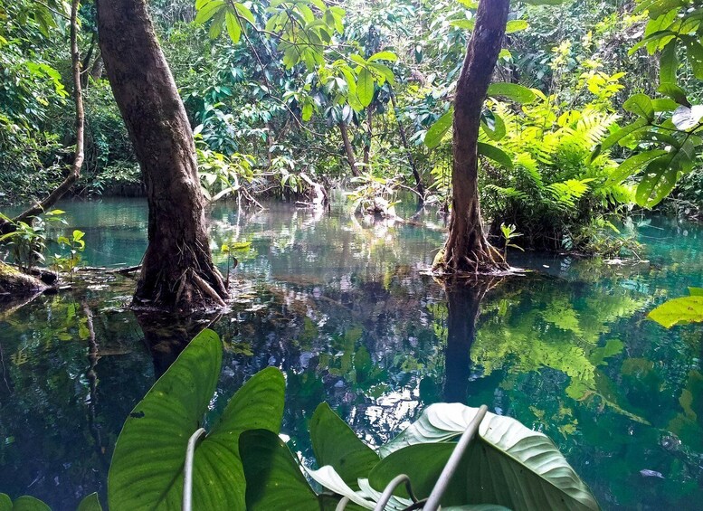 Picture 4 for Activity Ho Chi Minh: Private Can Gio Mangrove Forest Day Tour